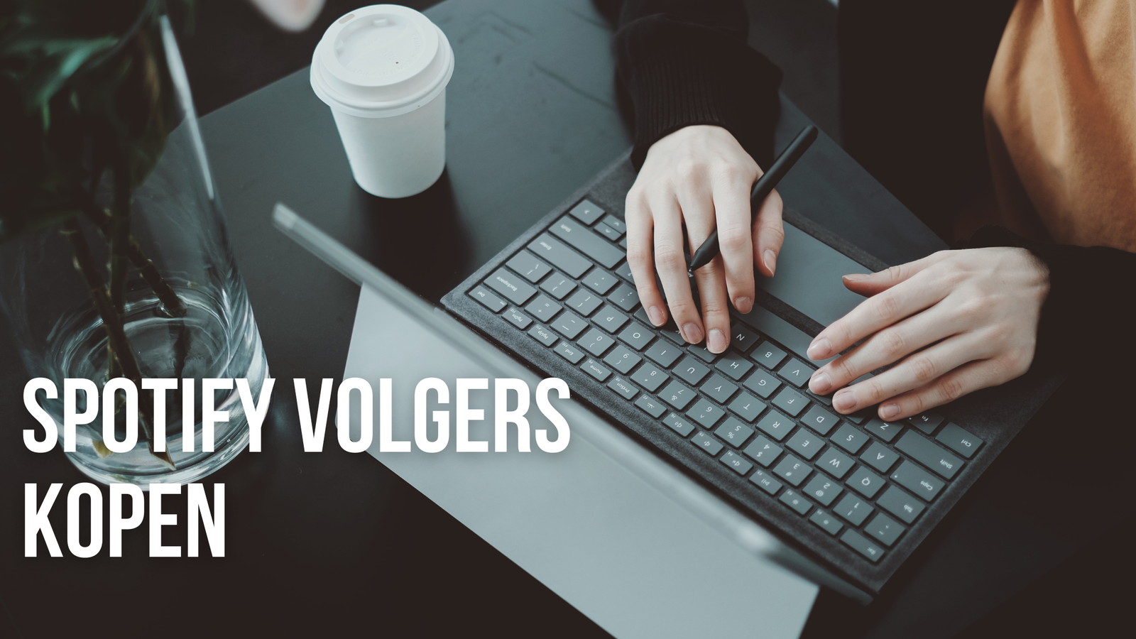 Spotify Volgers Kopen