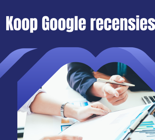 Koop Google recensies